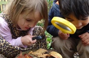 Schotland: Curriculum for Excellence