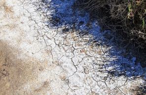Omgaan met klimaatverandering 